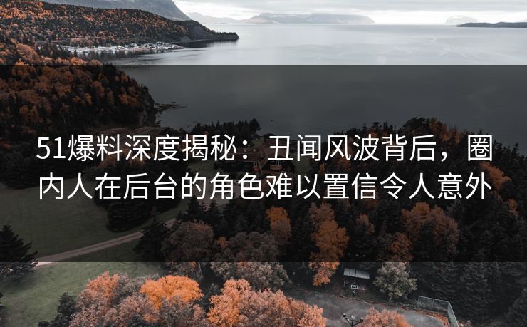 51爆料深度揭秘：丑闻风波背后，圈内人在后台的角色难以置信令人意外